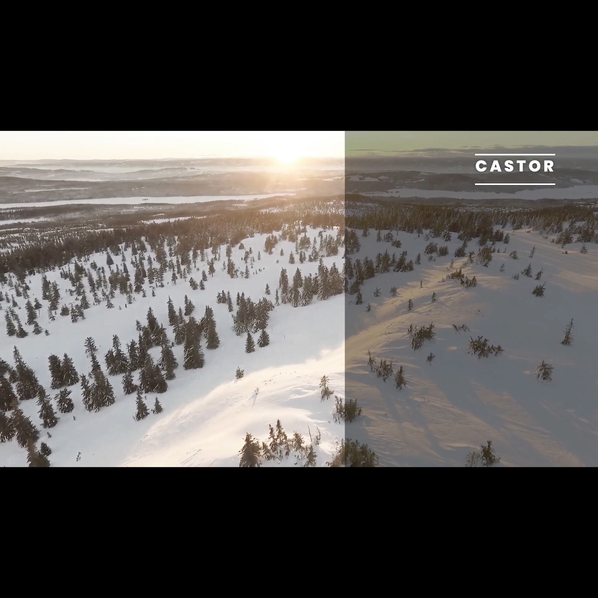 PREMIERE PRO - SOCIAL MEDIA LUTS